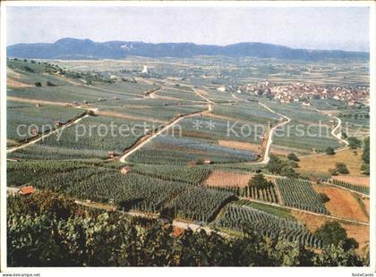 Hallau mit Randen Panorama