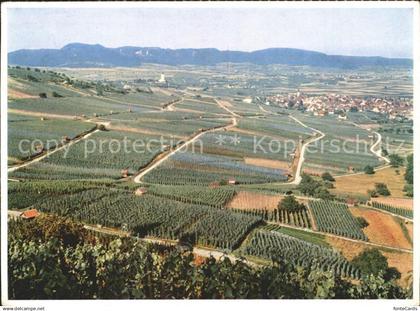 Hallau Randen