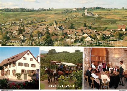 Hallau Rebbaugebiet