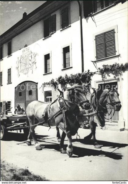 Neunkirch Bauernhof Pferdefuhrwerk