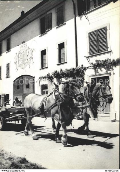 Neunkirch Bauernhof Pferdefuhrwerk