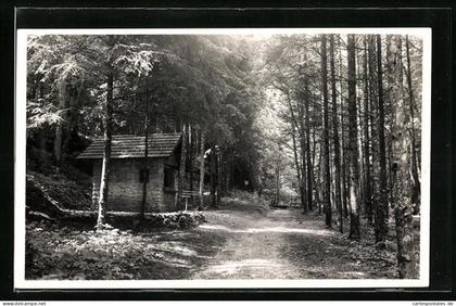 AK Hägendorf, Partie in der Teufelsschlucht