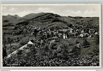 4633 Hauenstein-Ifenthal - 13159218