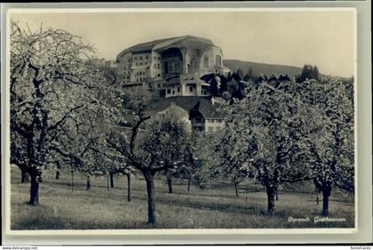 Dornach SO Dornach Goethenanum