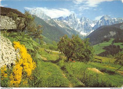 B52297 Chateau-d'Œx Rocher du Midi  switzerland