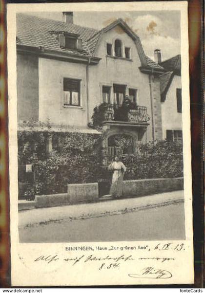 Binningen BL Binningen Haus zur gruenen Aue x 1913