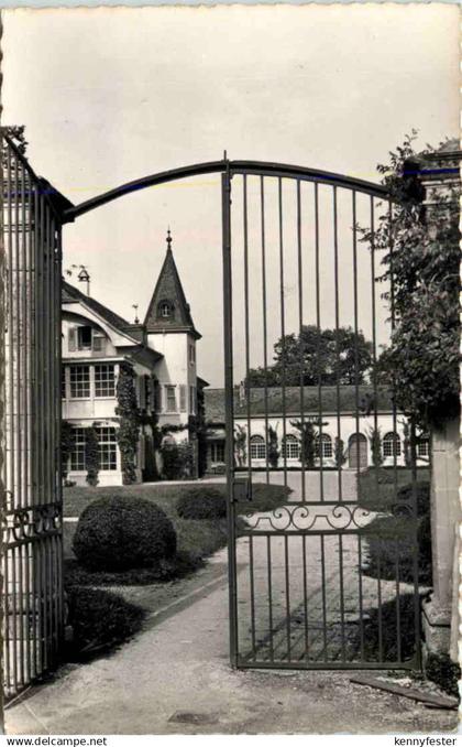 Chateau de Bossey, Celigny