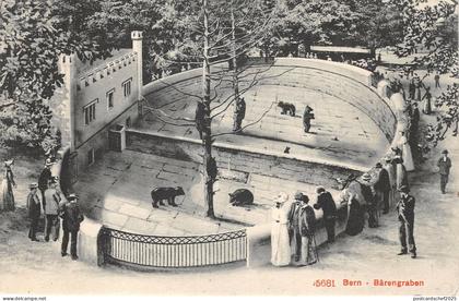 Lot294 bern berna barengraben bear  switzerland