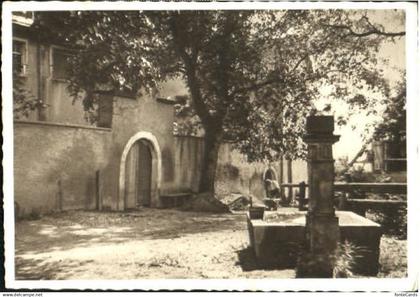 Marbach Schloss Weinstein