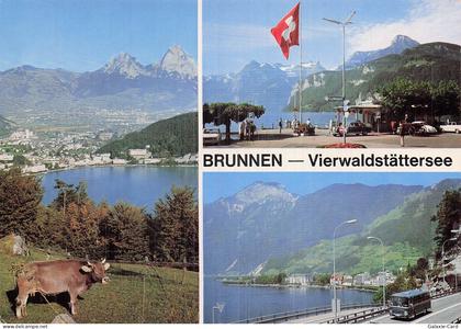 SUISSE BRUNNEN LAC DES QUATRE CANTONS