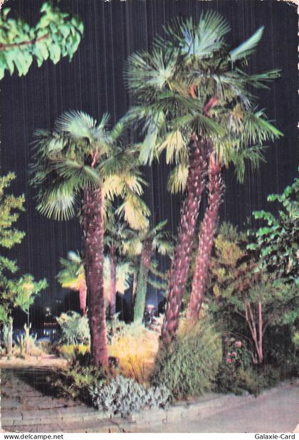 SUISSE LOCARNO LAC MAJEUR