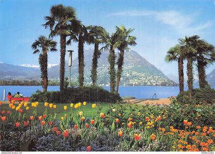 SUISSE LUGANO LAC DE LUGANO