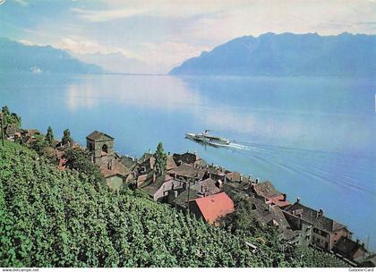 SUISSE SAINT SAPHORIN VIGNOBLE DE LAVAUX