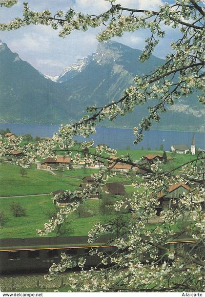 SUISSE SPIEZ LAC DE THOUNE
