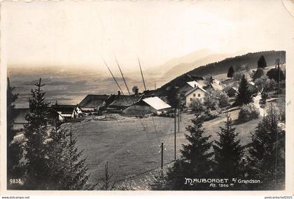 uk42717 mauborget grandson switzerland