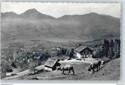 6422 Steinen - Restaurant Spiegelberg - 50734906