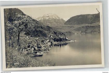 Gersau Vierwaldstaettersee Gersau