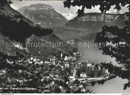 Gersau Vierwaldstaettersee mit Vierwaldstaettersee