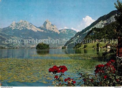 Lauerz Uferpartie am Lauerzersee mit Mythen Schwyzer Alpen
