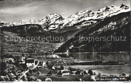 Steinerberg mit Lowerzersee und Alpen