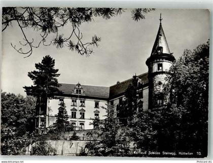 8536 Hüttwilen 1954 Foto AK Schloss Steinegg - 38071592
