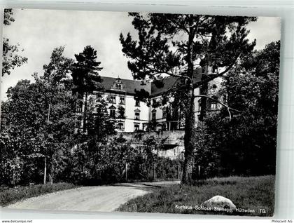 8536 Hüttwilen Foto AK Schloss Steinegg Kurhaus - 38069904