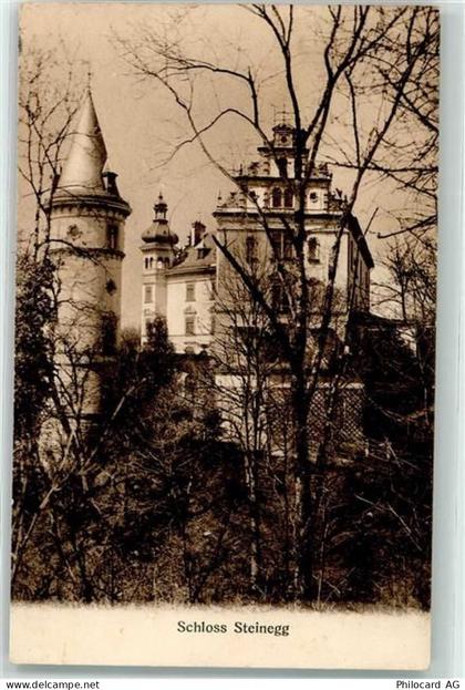 8536 Steinegg TG Hüttwilen 1911 - Schloss - 10587928