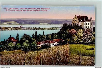 8268 Salenstein - Schloß Salenstein Insel Reichenau Schloß Arenaberg Lan... - 10450035