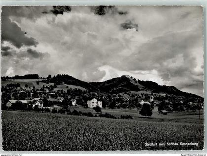 10300416 - Stettfurt