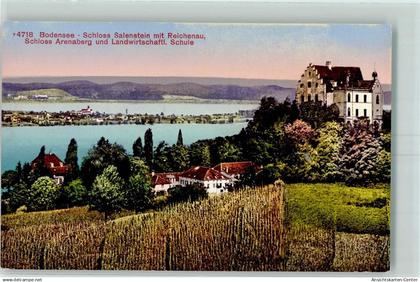 10450035 - Salenstein
