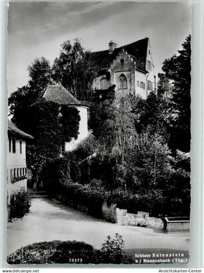 12113854 - Mannenbach-Salenstein