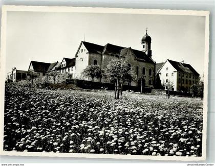 38024084 - Muensterlingen