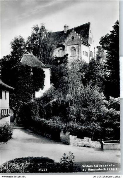 50799799 - Mannenbach-Salenstein