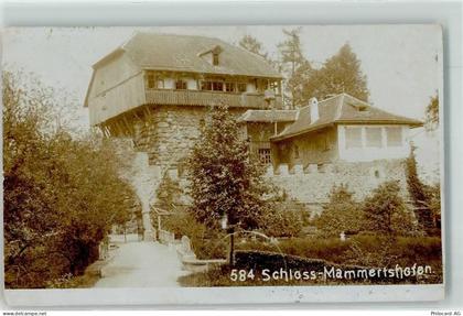 9325 Roggwil TG 1910 Privatfoto AK Schloss Mammertshofen - 13913692