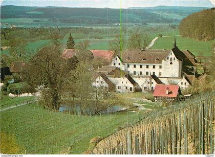 CPM Blick aus den Ittinger Reben