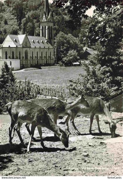 Dussnang Muenchwilen TG Kneipp-Kurhaus Hirschpark Rehe Kirche Wald Wiese