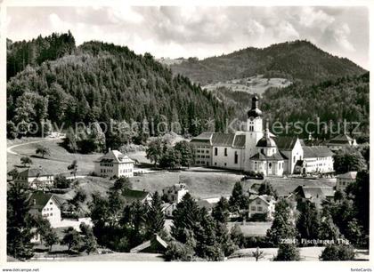 Fischingen TG Panroama mit Kirche