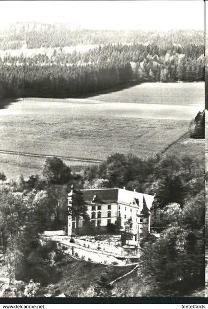 Huettwilen chloss Steinegg Hotel Fliegeraufnahme