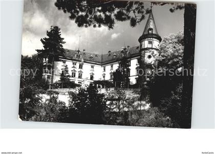 Huettwilen Schloss Steinegg