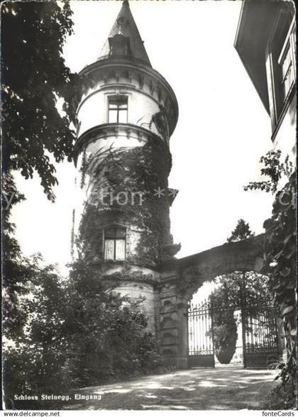 Huettwilen Schloss Steinegg Eingang