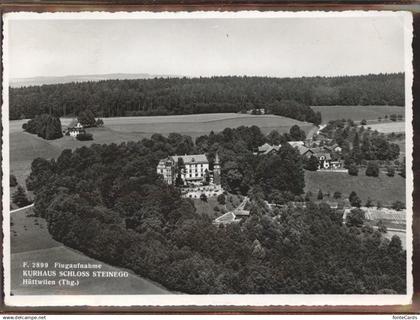 Huettwilen Schloss Steinegg   Fliegeraufnahme