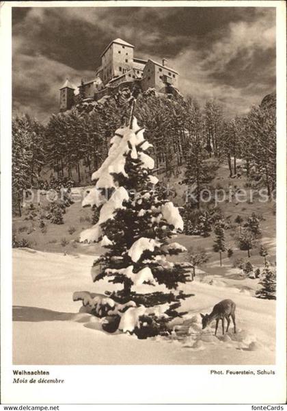 Muensterlingen TG Burg Weihnachtskarte Wild