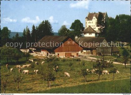 Stettfurt Schloss Sonnenberg