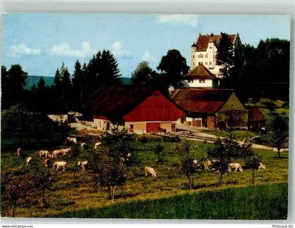 9507 Stettfurt 1974 Foto AK Schloss Sonnenberg - 38068065