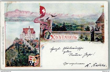 9507 Stettfurt Künstlerkarte Schloss Sonnenberg sign P. Vielse - 13160731