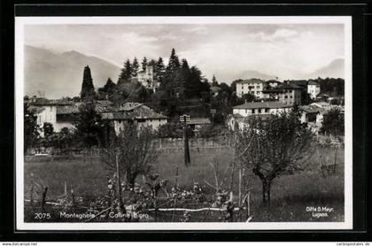 AK Montagnola, Collina d`oro