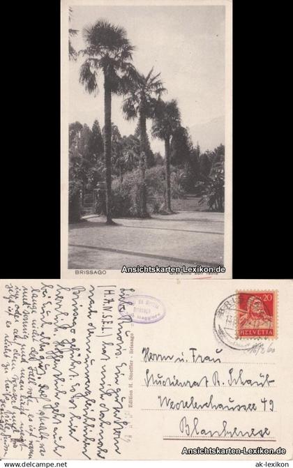 Ansichtskarte Brissago Garten  Giardino sull Isola 1929