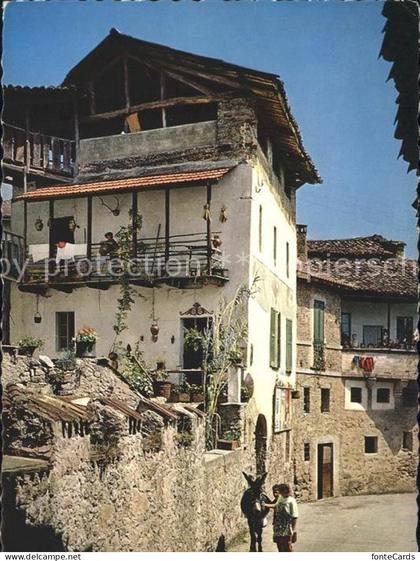 Carona Dorfpartie Esel