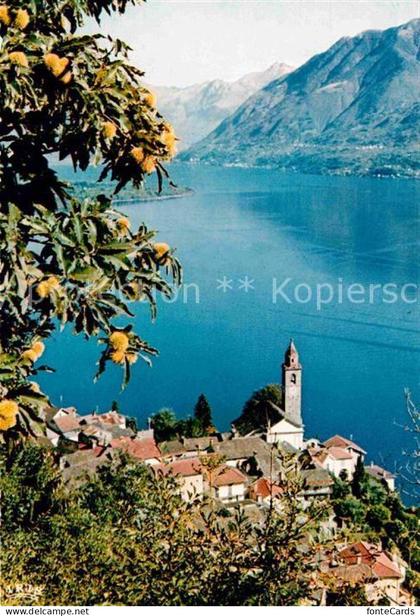 Ronco sopra Ascona Panorama