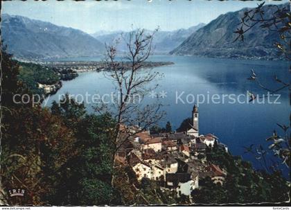 Ronco sopra Ascona Panorama